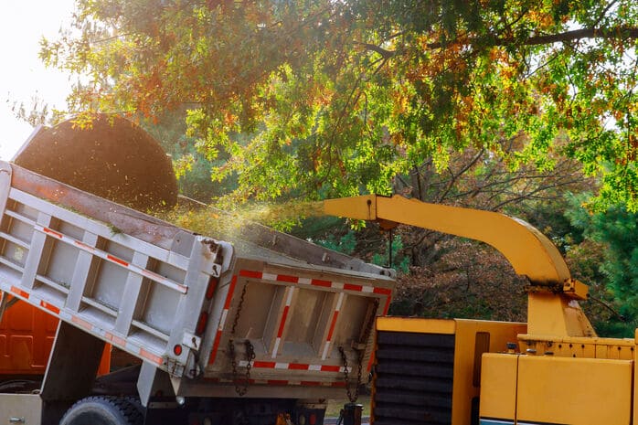 Camion benne récupérant le bois déchiqueté par la déchiqueteuse pour l'aménagement paysager 